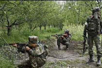 2025 4largeimg28 Apr 2025 140410707