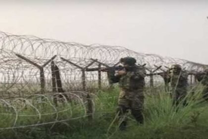 2025 4largeimg29 Apr 2025 101750403