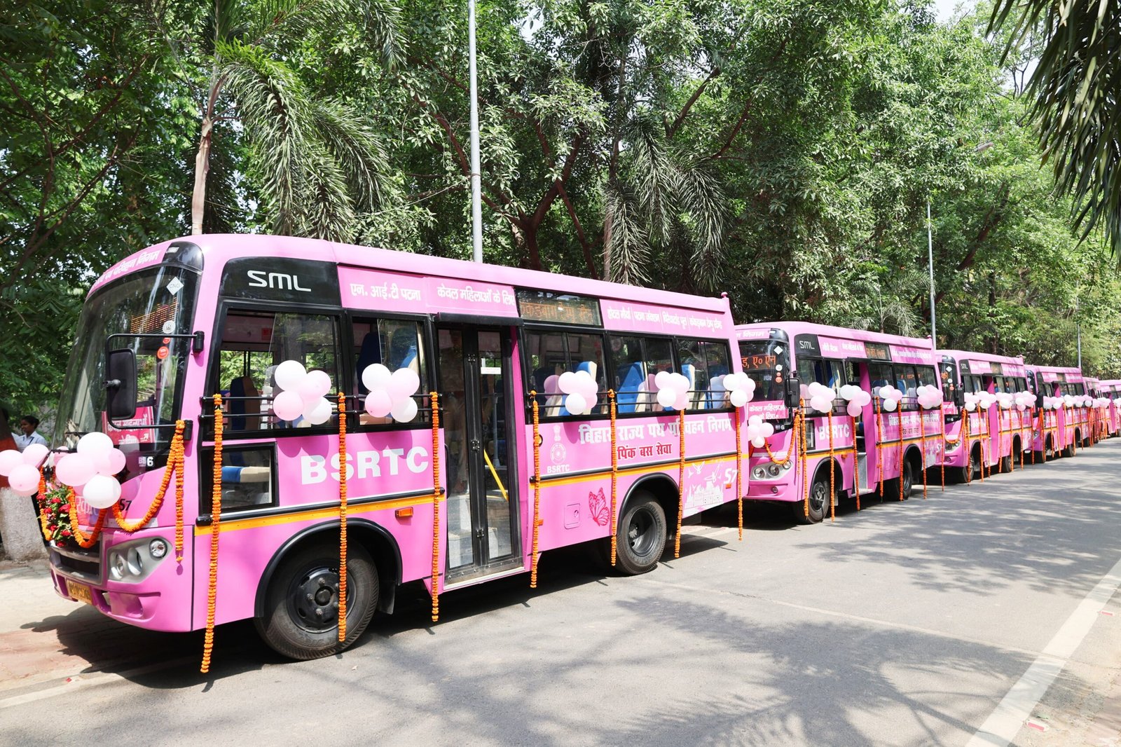 pink buses scaled