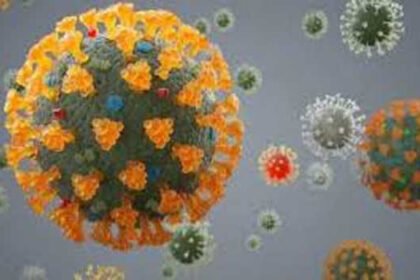 2025 5largeimg26 May 2025 115055457